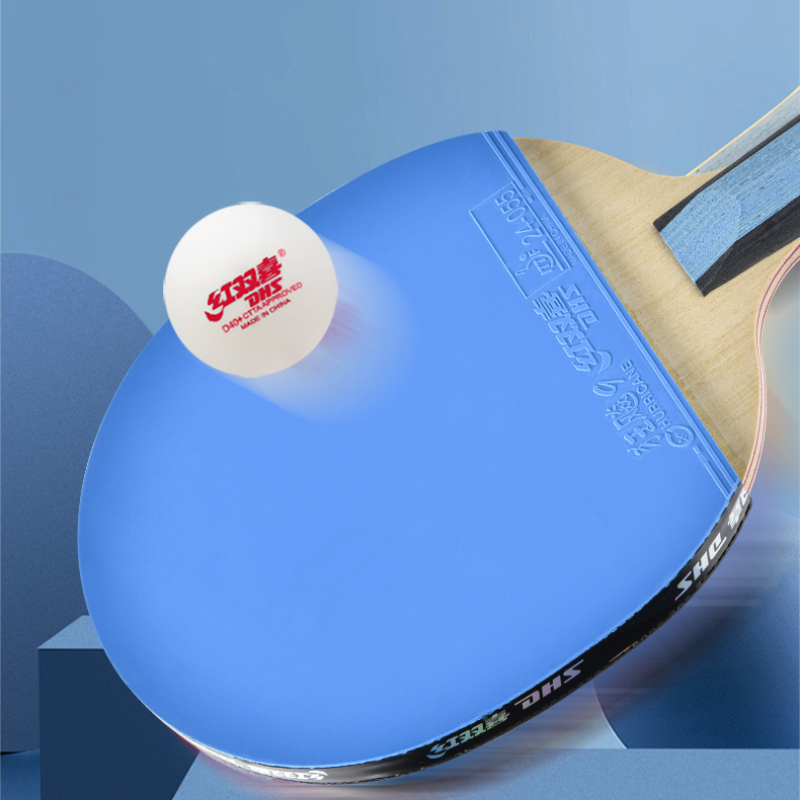 DHS 6 ดาว H6008 ตารางไม้เทนนิส - Table Tennis Champion บทวิจารณ์และราคา